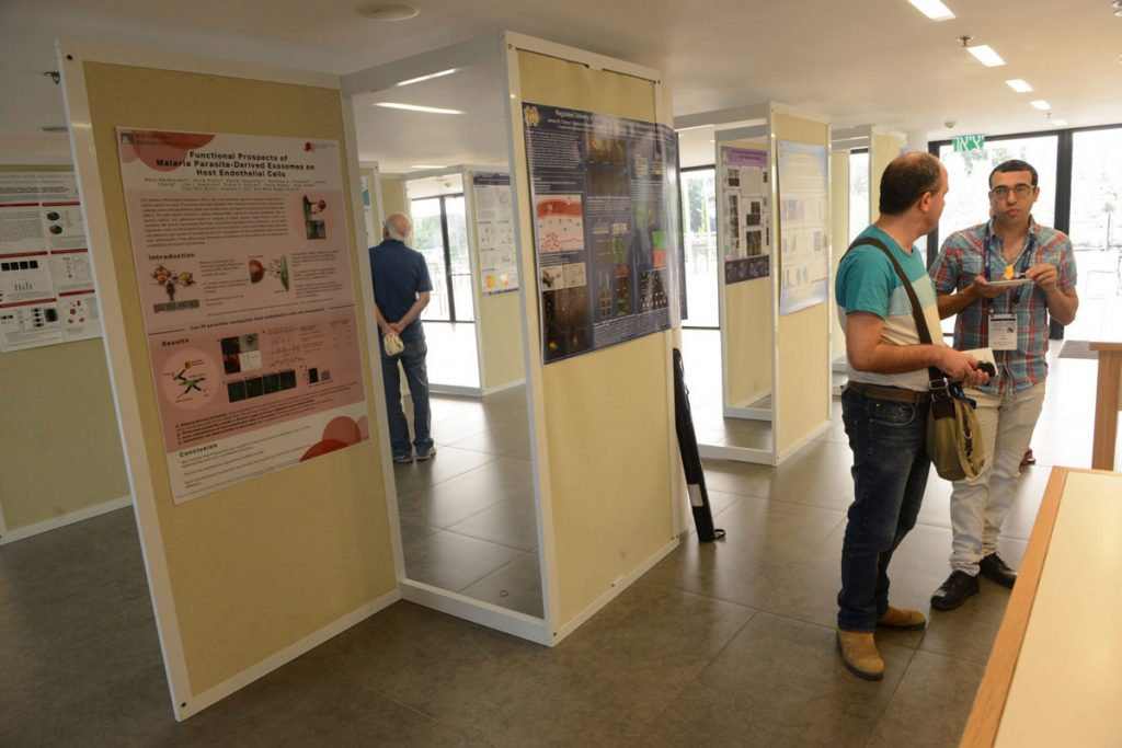 18_Shai-and-Ido_EV-meeting-2016