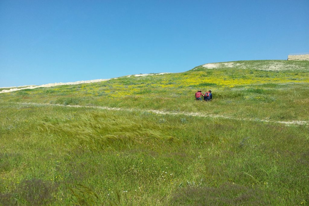 23a_Tel_Arad_department-Trip